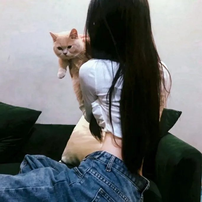 象限之眼